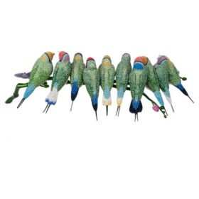 Crystal Myriad Gouldian Finches