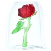 Den fortryllede rose