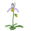 Florere Lady Slipper-orkidé
