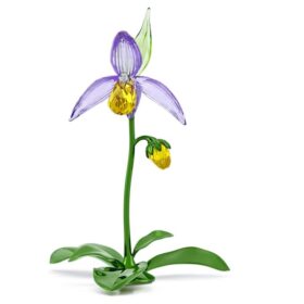 Florere Lady Slipper-orkidé