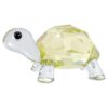 Idyllia Baby-skildpadde Idyllia Baby-skildpadde