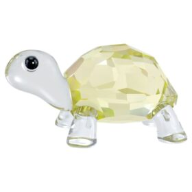 Idyllia Baby-skildpadde