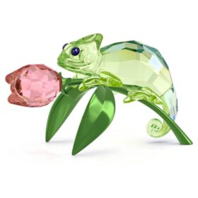 Idyllia-kamæleon og tulipan