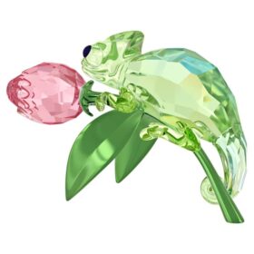 Idyllia-kamæleon og tulipan