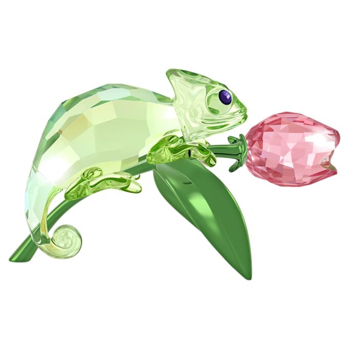 Idyllia-kamæleon og tulipan Idyllia-kamæleon og tulipan