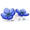 Idyllia SCS Anemone Coronaria-blomst