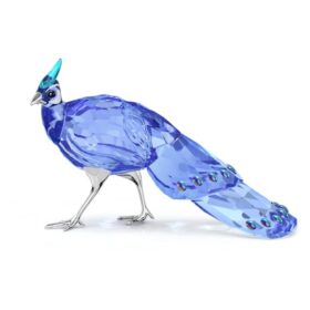 Idyllia SCS Palawan påfugl-fasan