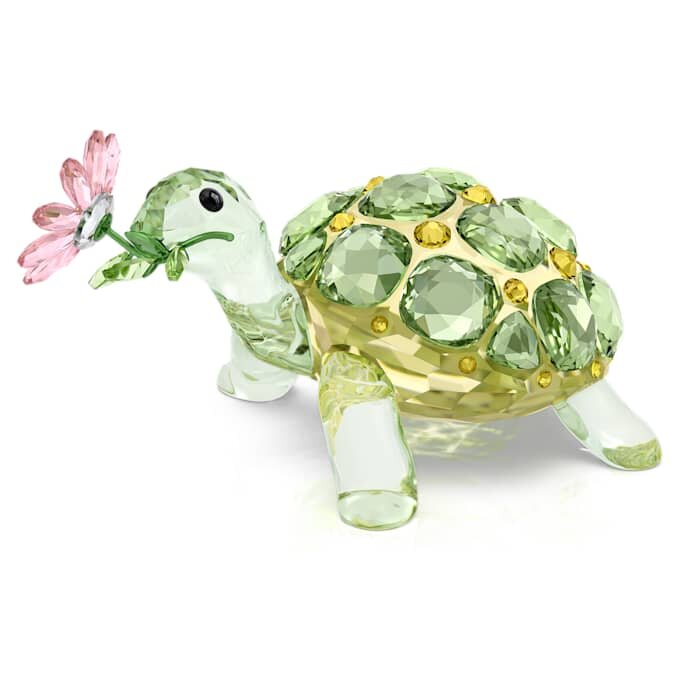 Idyllia Skildpadde og tusindfryd Idyllia Skildpadde og tusindfryd