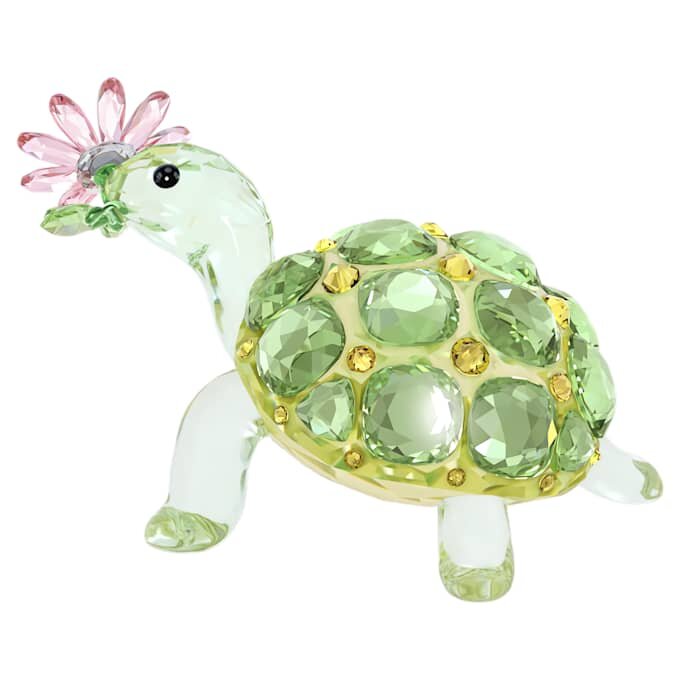 Idyllia Skildpadde og tusindfryd Idyllia Skildpadde og tusindfryd