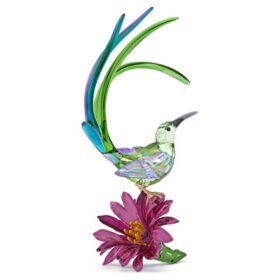 Idyllia-sukkervoglen og kaktusblomsten