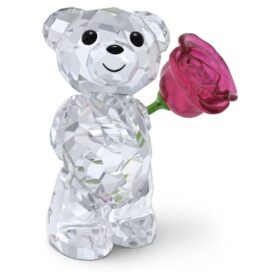 Kris Bear bærer en rose med kærlighed