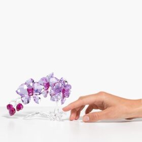 Krystalblomster – Orkidé Krystalblomster – Orkidé