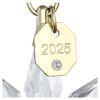 Årligt 3D-pyntesæt 2025 Årligt 3D-pyntesæt 2025